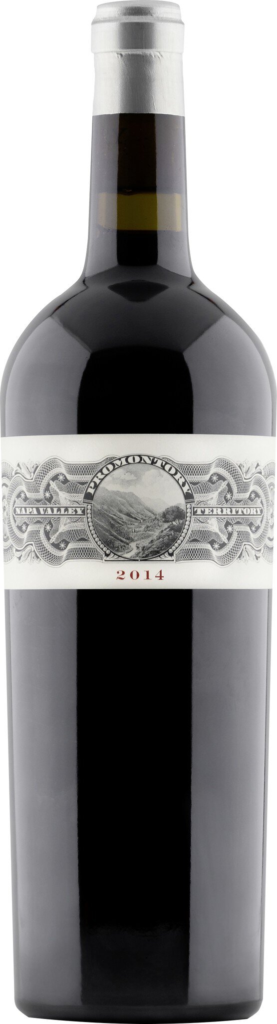 Eine elegante, schwarze Weinflasche steht auf einem neutralen Hintergrund. Die Flasche hat einen auffälligen, glänzenden Etikett mit dekorativen Details. Der Hals ist lang mit einem Korkverschluss.