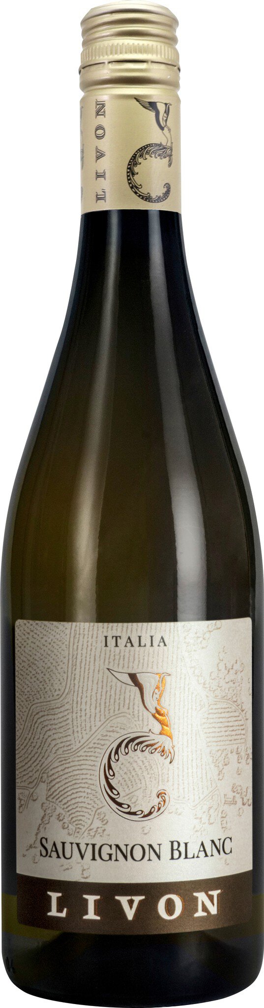 Eine Flasche Weißwein steht aufrecht. Der Flaschenhals hat einen Korken, und das Etikett zeigt ein schlichtes, elegantes Design. Der Hintergrund ist neutral und hebt die Flasche hervor.