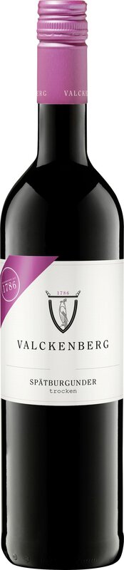 P.J. Valckenberg Spätburgunder Trocken 2021 0 Rotwein