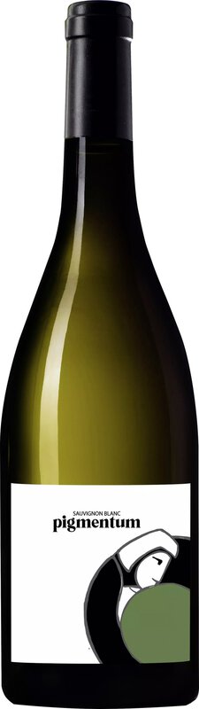 Georges Vigouroux Pigmentum Sauvignon Blanc 2021 0.75 l Buzet Weisswein