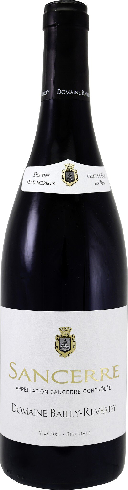 Eine Flasche Rotwein steht aufrecht. Der Körper ist dunkel, mit einem weißen Etikett, das den Namen und möglicherweise weitere Details trägt. Der Hintergrund ist einheitlich und unauffällig.