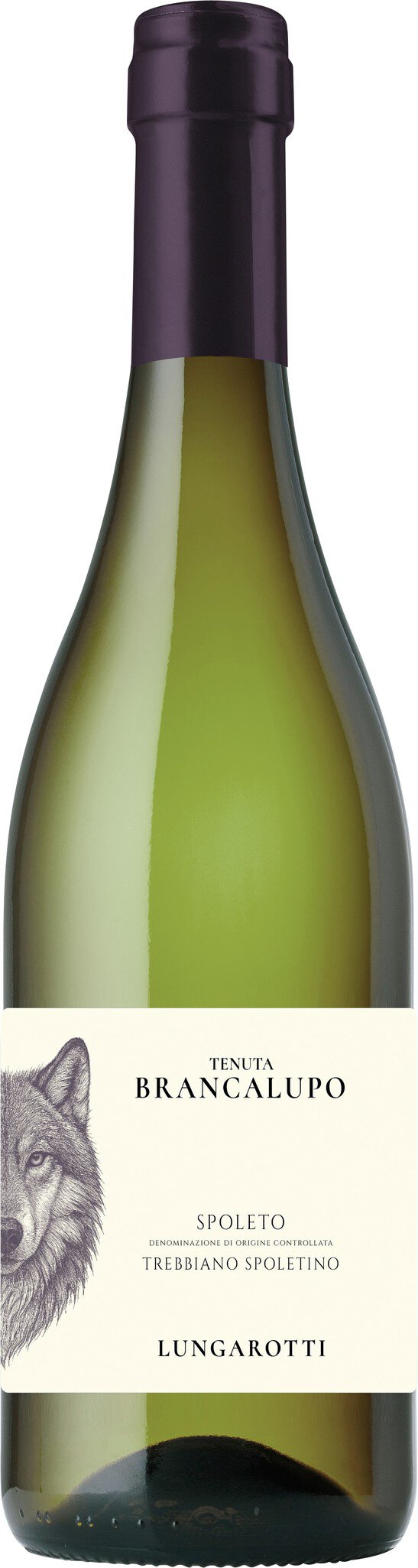Eine grüne Weinflasche steht aufrecht. Der Flaschenhals ist schwarz und es gibt ein Etikett mit einem grafischen Bild eines Tieres sowie Text, der den Wein beschreibt.