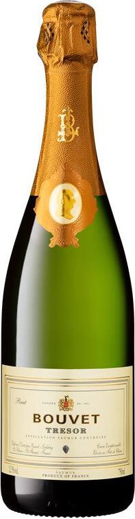 Eine Flasche Schaumwein mit goldenem Korken und einem etikettierten Design in heller Farbe steht aufrecht. Der Hintergrund ist neutral und hebt die Flasche hervor.